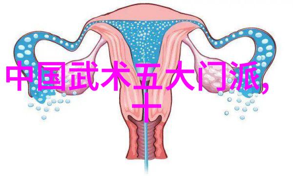 门派拳种霍元甲72式迷踪艺