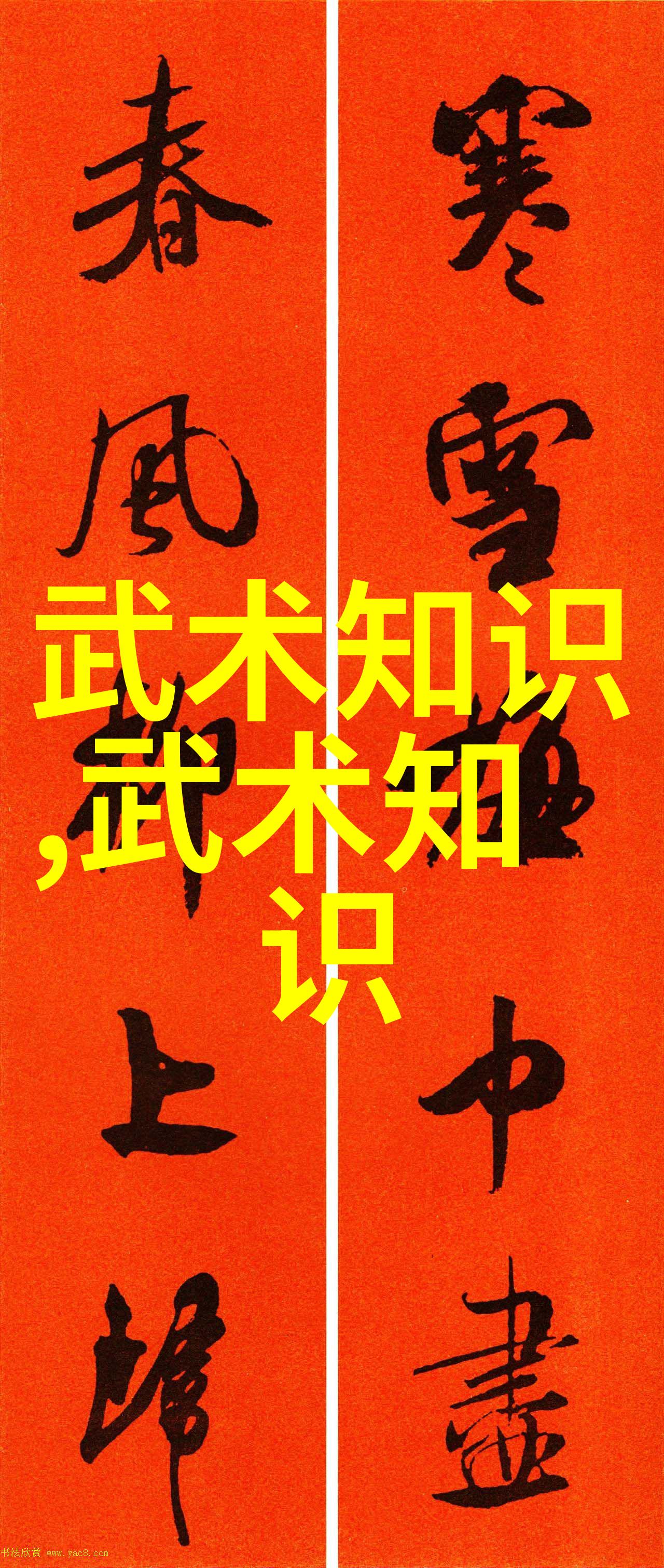 论周易对中华武术的影响-谢远基