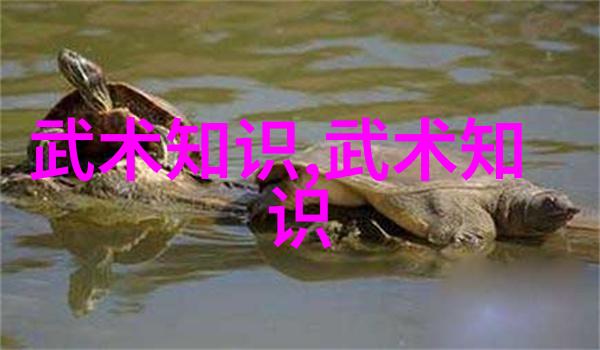 谈武术擒拿中常见的误区-赵大元