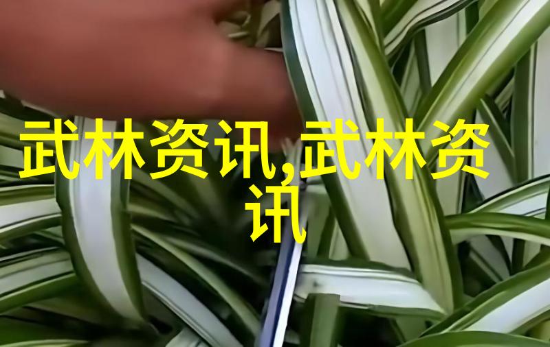 浙江省省第二届体育运动会武术比赛落幕