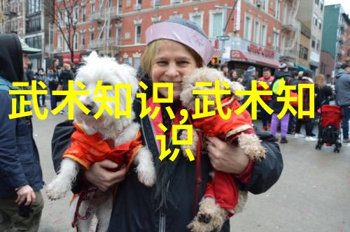 武术套路改革新思路-李永