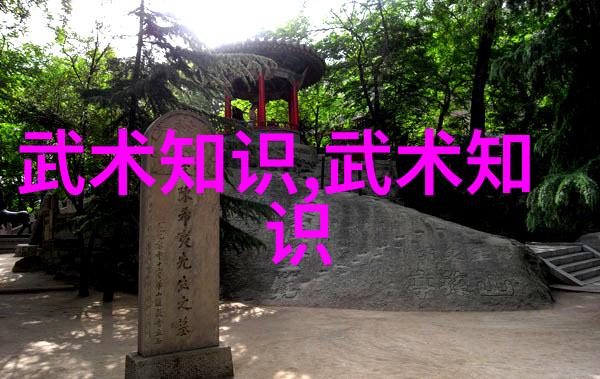 武术名家珍言