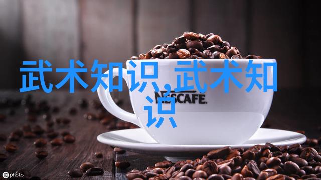 武术文化发展的两点浅见-康天成