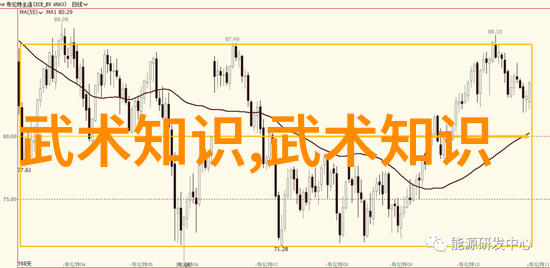 盘破门武术发展中存在的几个问题-向永林