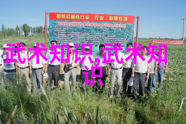议当今中国武术的传承和弘扬-李毅虎