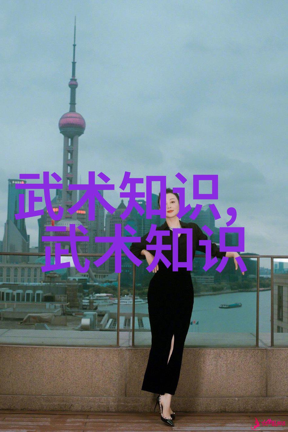 武术散手之我见-刘立国