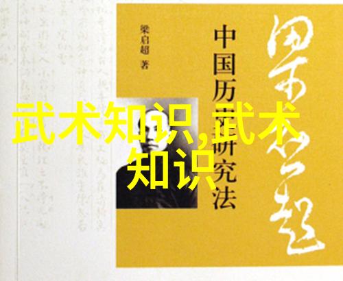 武术技击中的距离感和时间差