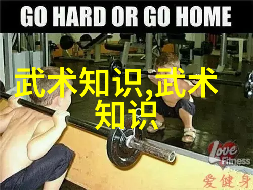 谈谈武术的精气神-武崇玉