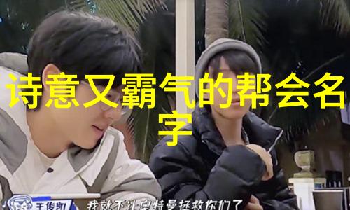 门派拳种鹰翼功