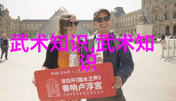 网络传播学视野下的中华武术发展观-黄俊儒