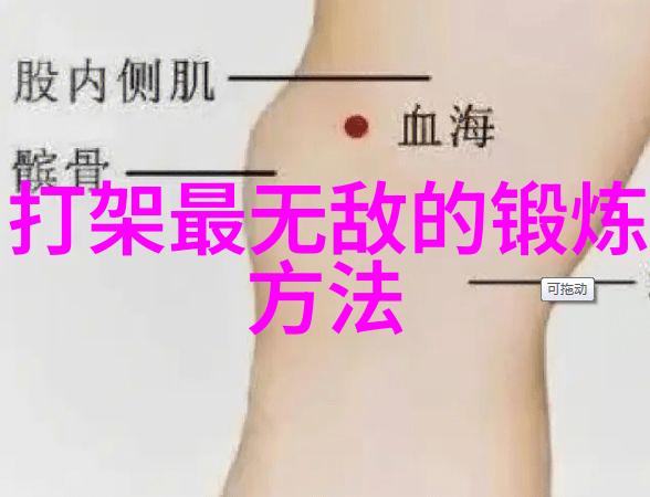 甘风池拳法