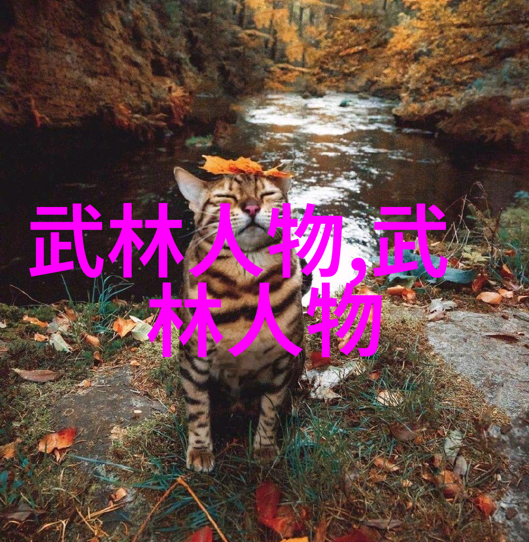 寻找天津民间武林高手 12个拳派近百名拳师报名